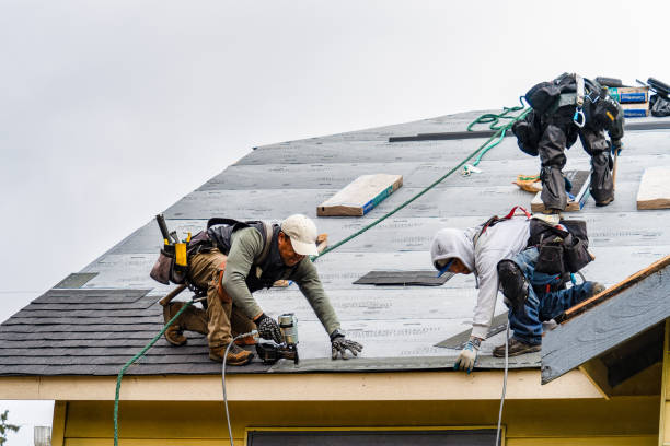 Professional Roofing technician working in Duxbury, MA
